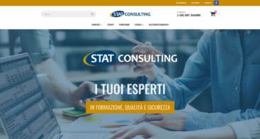 E-commerce Stat Consulting