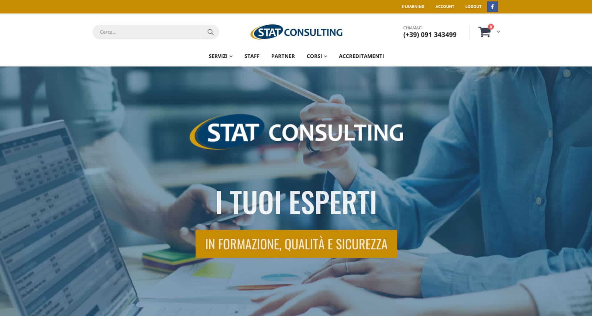stat consulting